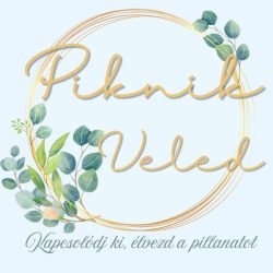 piknikveled-logo-512x512